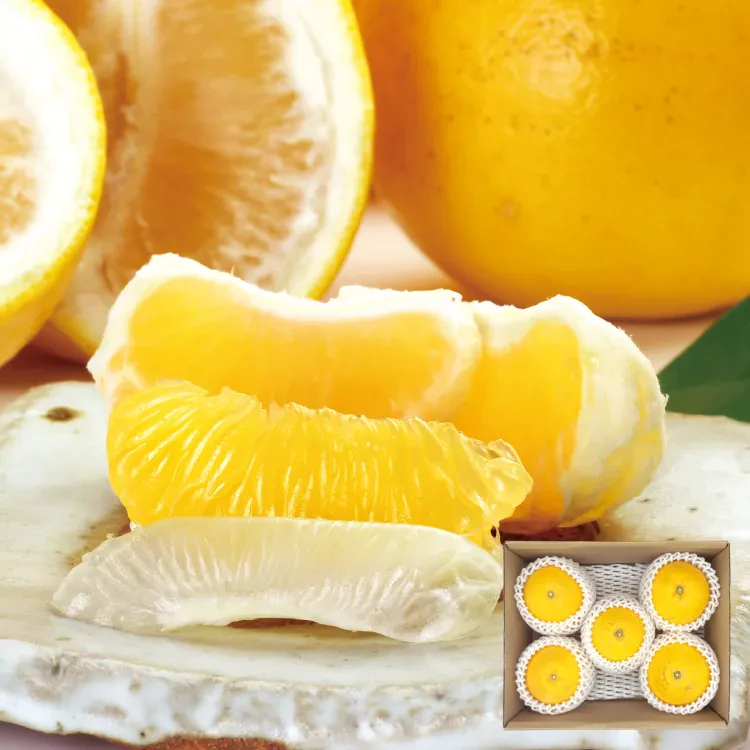 河内晩柑（約2kg）