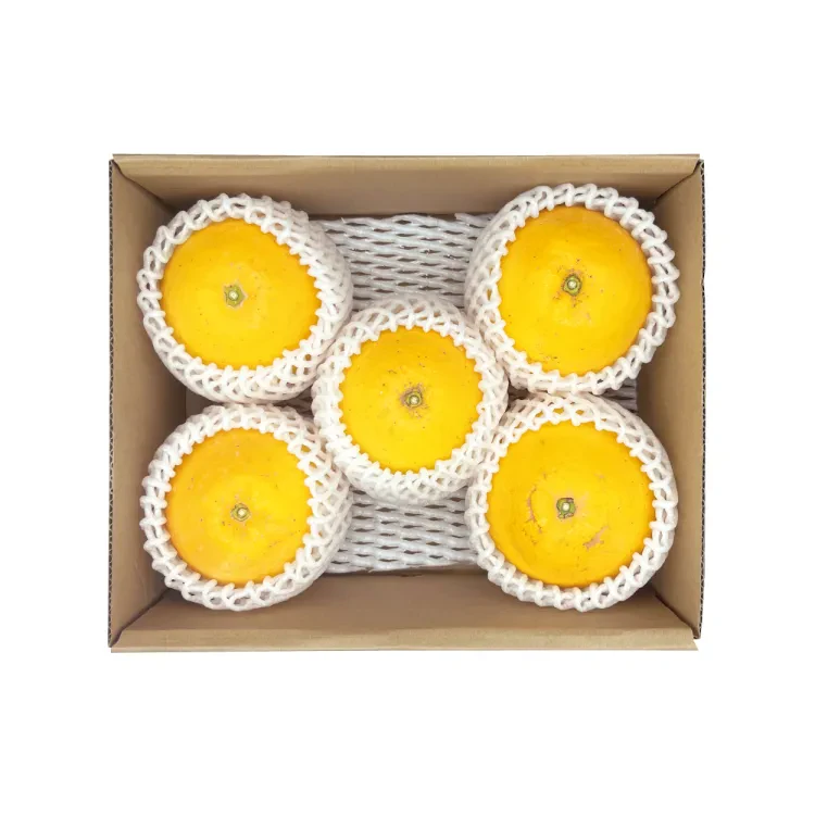 河内晩柑（約2kg）