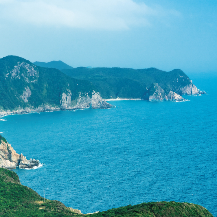長崎五島あおさ
