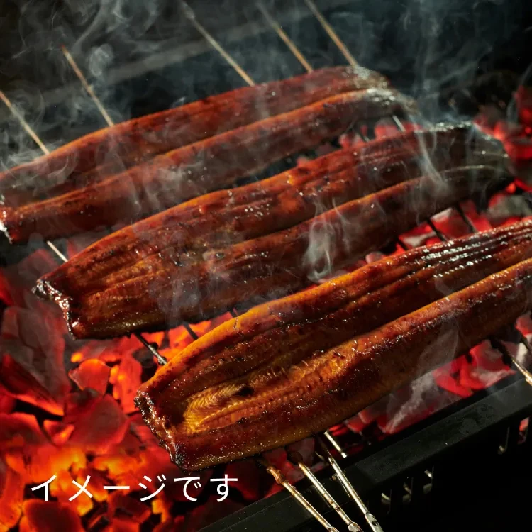 無薬養鰻で育てた“山田のうなぎ”
