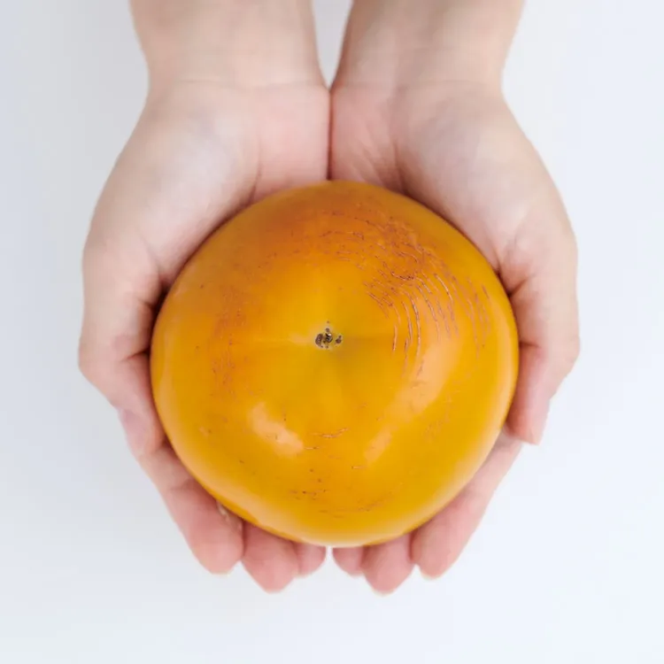太秋柿 約1.4kg