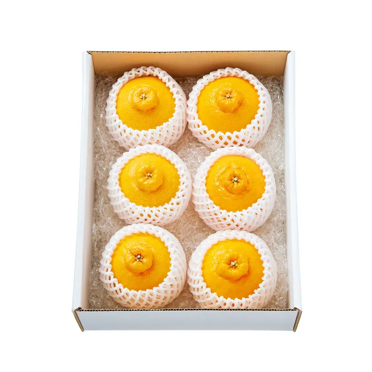 プレミアム不知火　2～3Lサイズ（約1.5kg）