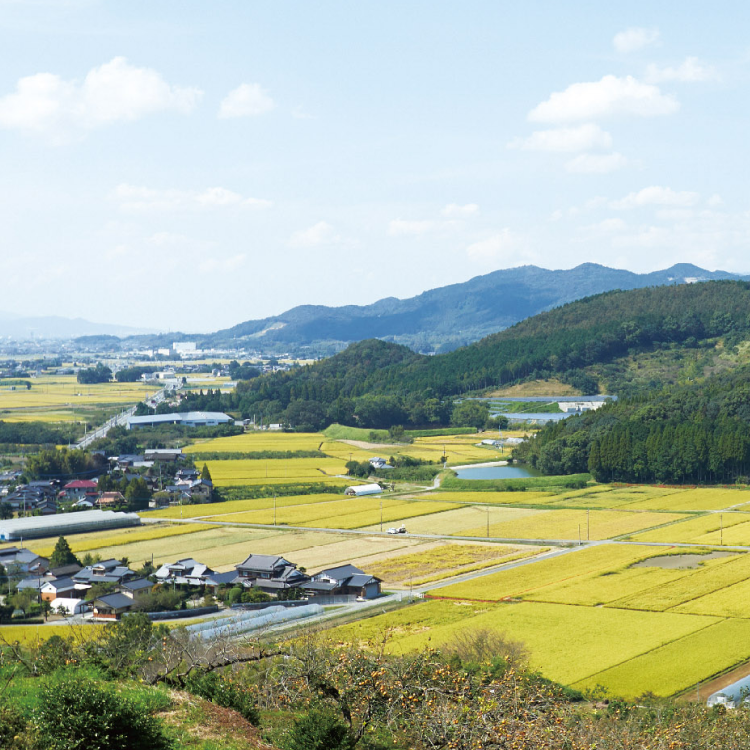 【11/15～出荷】やまやのお米・うちのめんたい切子セット