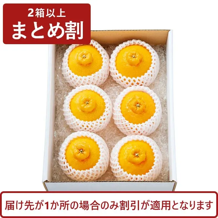 プレミアム不知火　2～3Lサイズ（約1.5kg）(2箱～)