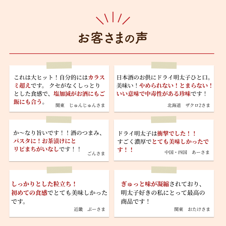 ドライ明太子(1本入) 5個セット