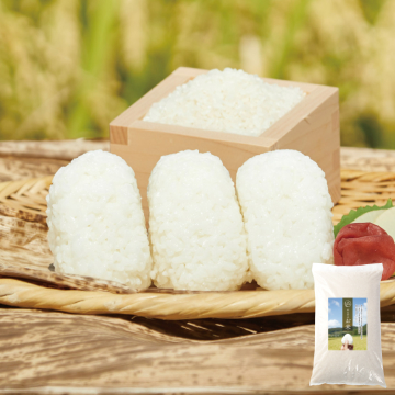 やまやのお米 新米 元気つくし5㎏