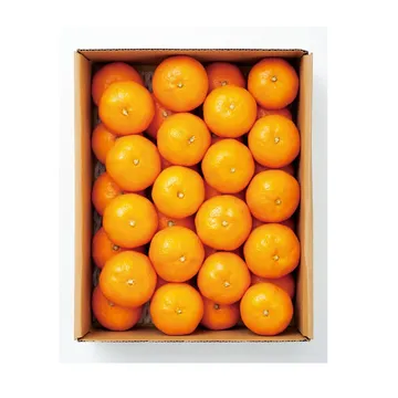 原口みかん 約3kg