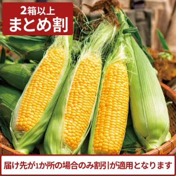 ゴールドラッシュ4.5kg(2箱～)