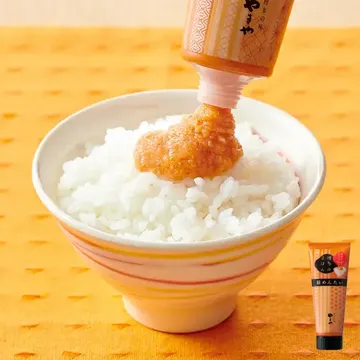 めんたいチューブ 鮭めんたい