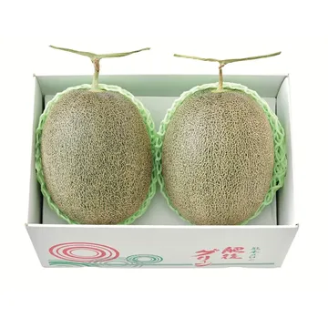 肥後グリーン(2玉) 約3.6kg