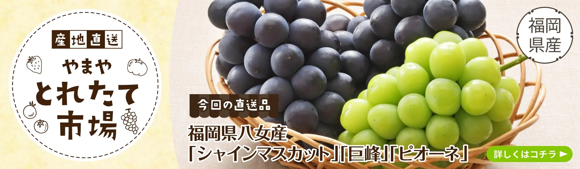 やまやのお中元：8/31(日)まで開催中！