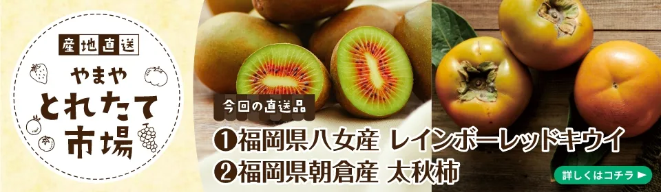 産地直送とれたて市場(レインボーレッドキウイ・太秋柿)　9/30(火)まで予約受付中！