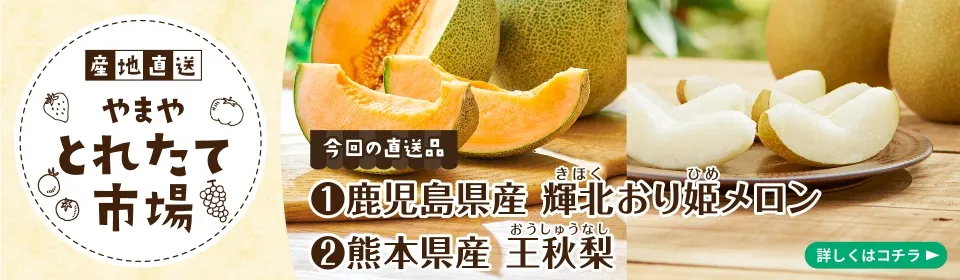 とれたて市場(輝北おり姫メロン・王秋梨) 
