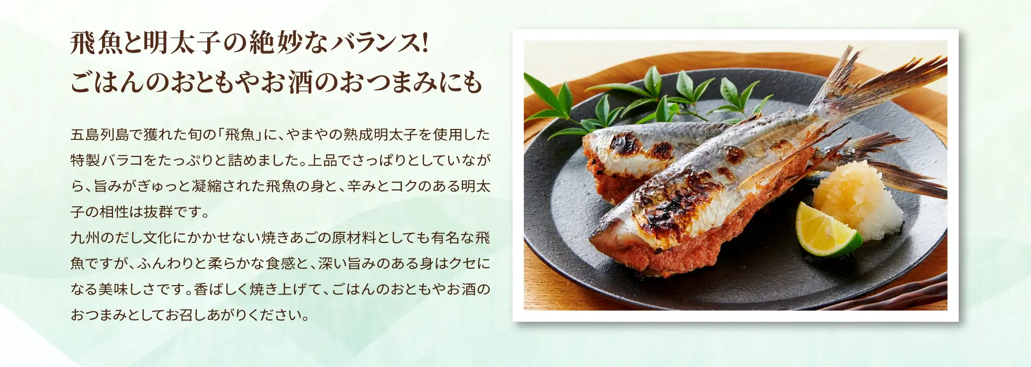 五島列島で獲れた旬の「飛魚」に、やまやの熟成明太子を使用した特製バラコをたっぷりと詰めました。上品でさっぱりとしていながら、旨みがぎゅっと凝縮された飛魚の身と、辛みとコクのある明太子の相性は抜群です。九州のだし文化にかかせない焼きあごの原材料としても有名な飛魚ですが、ふんわりと柔らかな食感と、深い旨みのある身はクセになる美味しさです。香ばしく焼き上げて、ごはんのおともやお酒のおつみとしてお召しあがりください。