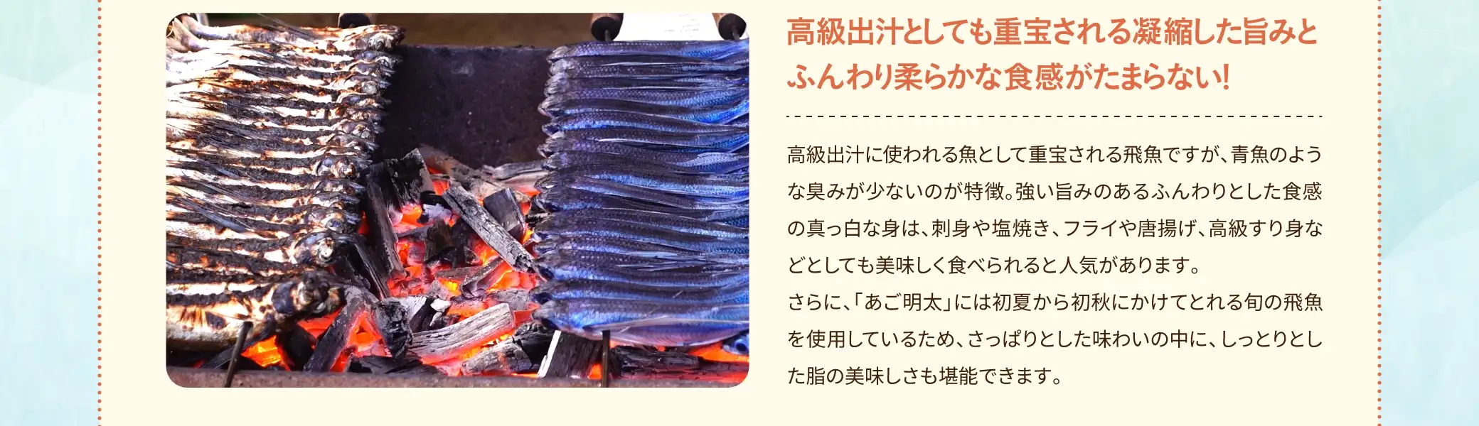 高級出汁に使われる魚として重宝される飛魚ですが、青魚のような臭みが少ないのが特徴。強い旨みのあるふんわりとした食感の真っ白な身は、刺身や塩焼き、フライや唐揚げ、高級すり身などとしても美味しく食べられると人気があります。さらに、「あご明太」には初夏から初秋にかけてとれる旬の飛魚を使用しているため、さっぱりとした味わいの中に、しっとりとした脂の美味しさも堪能できます。