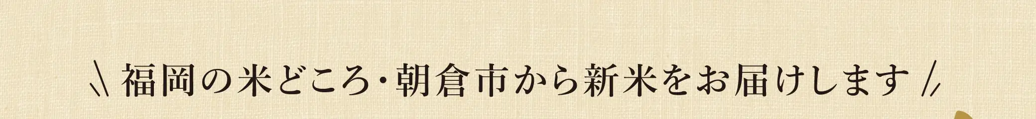 福岡の米どころ・朝倉市から新米をお届けします！