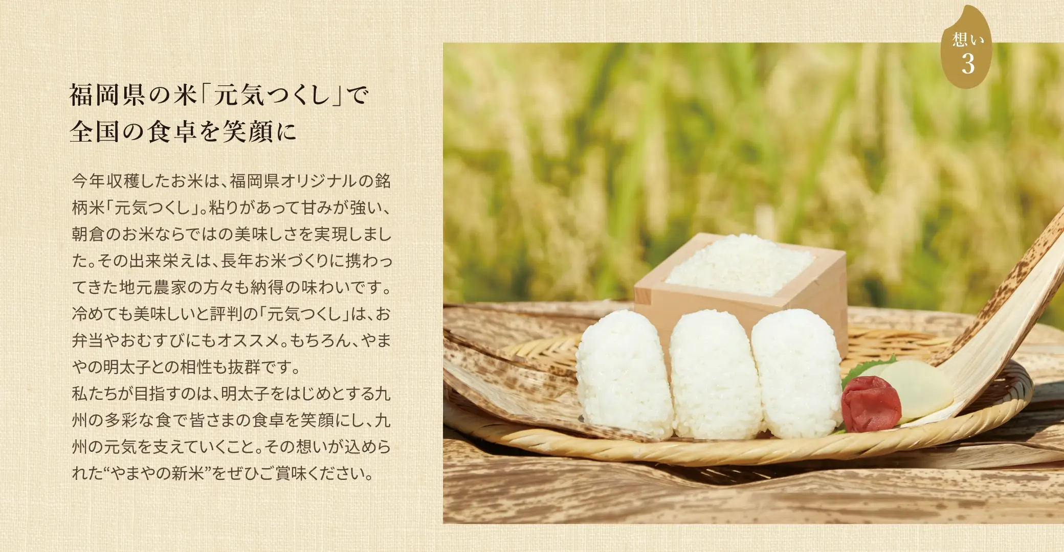 福岡県の米「元気つくし」で全国の食卓を笑顔に：今年収穫したお米は、福岡県オリジナルの銘柄米「元気つくし」。粘りがあって甘みが強い、朝倉のお米ならではの美味しさを実現しました。その出来栄えは、長年お米づくりに携わってきた地元農家の方々も納得の味わいです。冷めても美味しいと評判の「元気つくし」は、お弁当やおむすびにもオススメ。もちろん、やまやの明太子との相性も抜群です。私たちが目指すのは、明太子をはじめとする九州の多彩な食で皆さまの食卓を笑顔にし、九州の元気を支えていくこと。その想いが込められた“やまやの新米”をぜひご賞味ください。