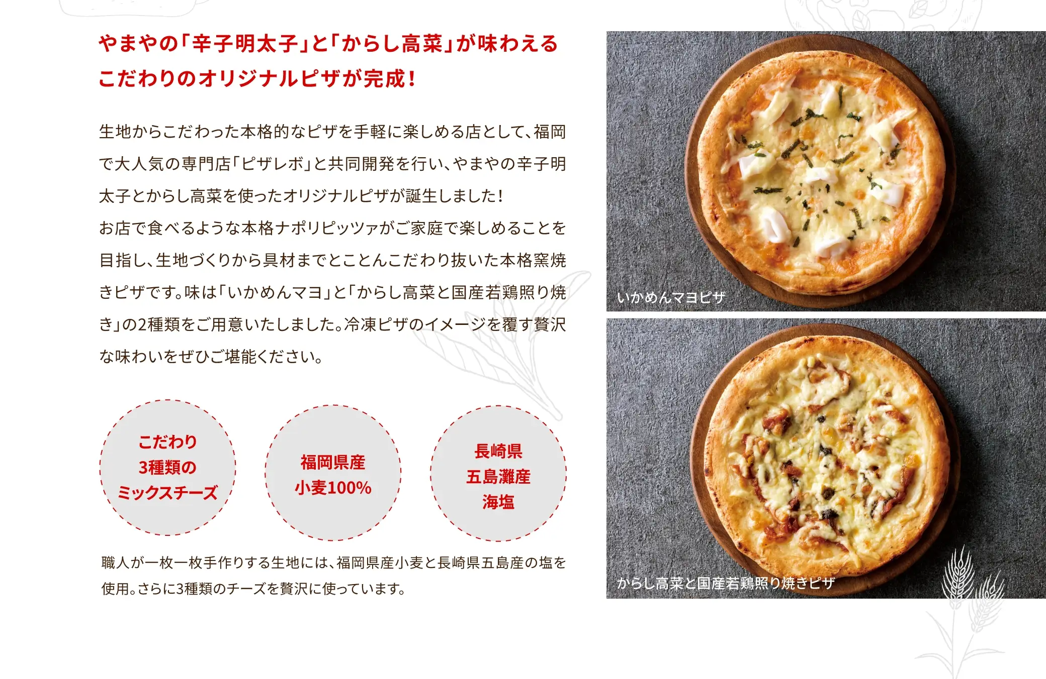 生地からこだわった本格的なピザを手軽に楽しめる店として、福岡で大人気の専門店「ピザレボ」と共同開発を行い、やまやの辛子明太子とからし高菜を使ったオリジナルピザが誕生しました！お店で食べるような本格ナポリピッツァがご家庭で楽しめることを目指し、生地づくりから具材までとことんこだわり抜いた本格窯焼きピザです。味は「いかめんたいマヨ」と「からし高菜と国産若鶏照り焼き」の2種類をご用意いたしました。冷凍ピザのイメージを覆す贅沢な味わいをぜひご堪能ください。