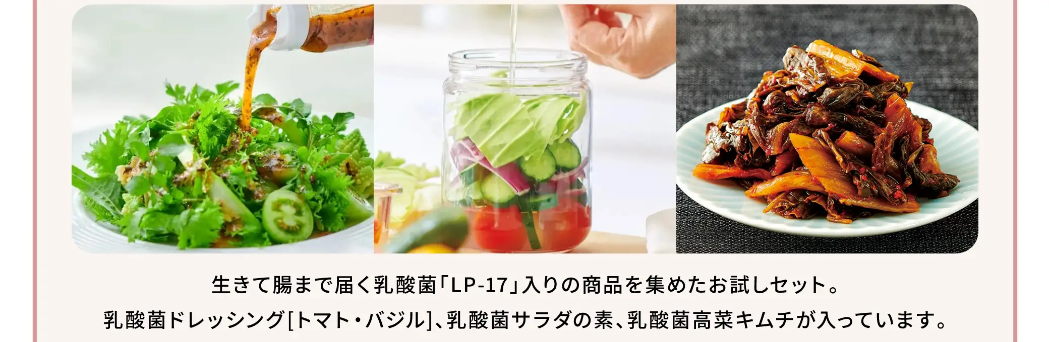 生きて腸まで届く乳酸菌「LP-17」入りの商品を集めたお試しセット。乳酸菌ドレッシング(トマト・バジル)、乳酸菌サラダの素、乳酸菌高菜キムチが入っています。