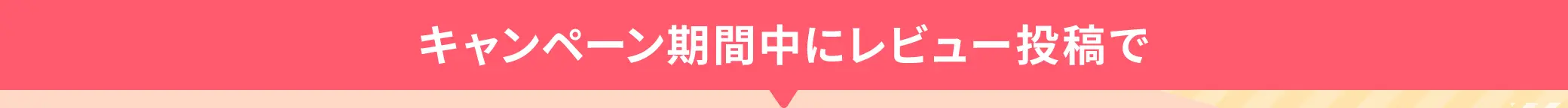 キャンペーン期間中にレビュー投稿で、