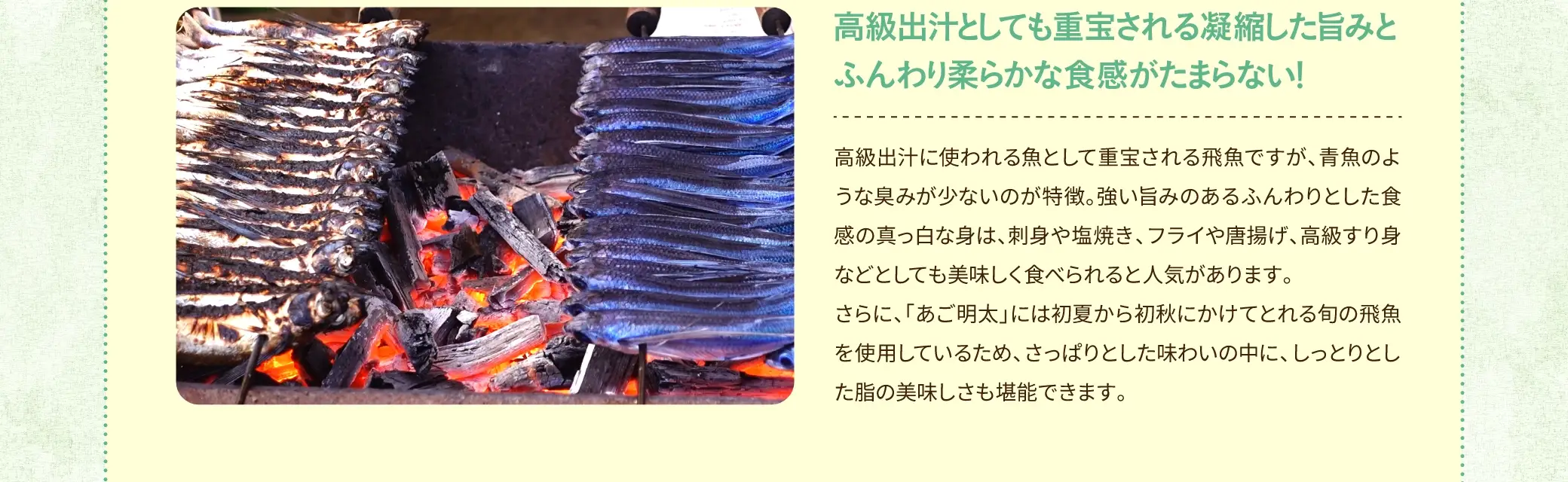 高級出汁に使われる魚として重宝される飛魚ですが、青魚のような臭みが少ないのが特徴。強い旨みのあるふんわりとした食感の真っ白な身は、刺身や塩焼き、フライや唐揚げ、高級すり身などとしても美味しく食べられると人気があります。さらに、「あご明太」には初夏から初秋にかけてとれる旬の飛魚を使用しているため、さっぱりとした味わいの中に、しっとりとした脂の美味しさも堪能できます。