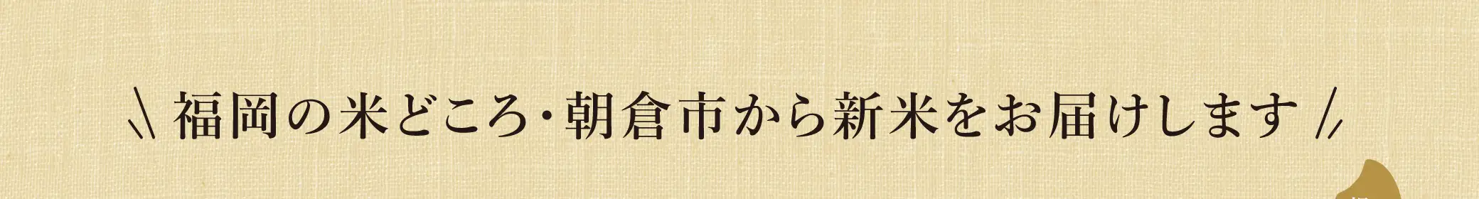福岡の米どころ・朝倉市から新米をお届けします