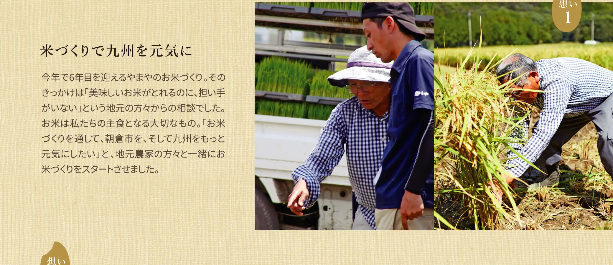 米づくりで九州を元気に