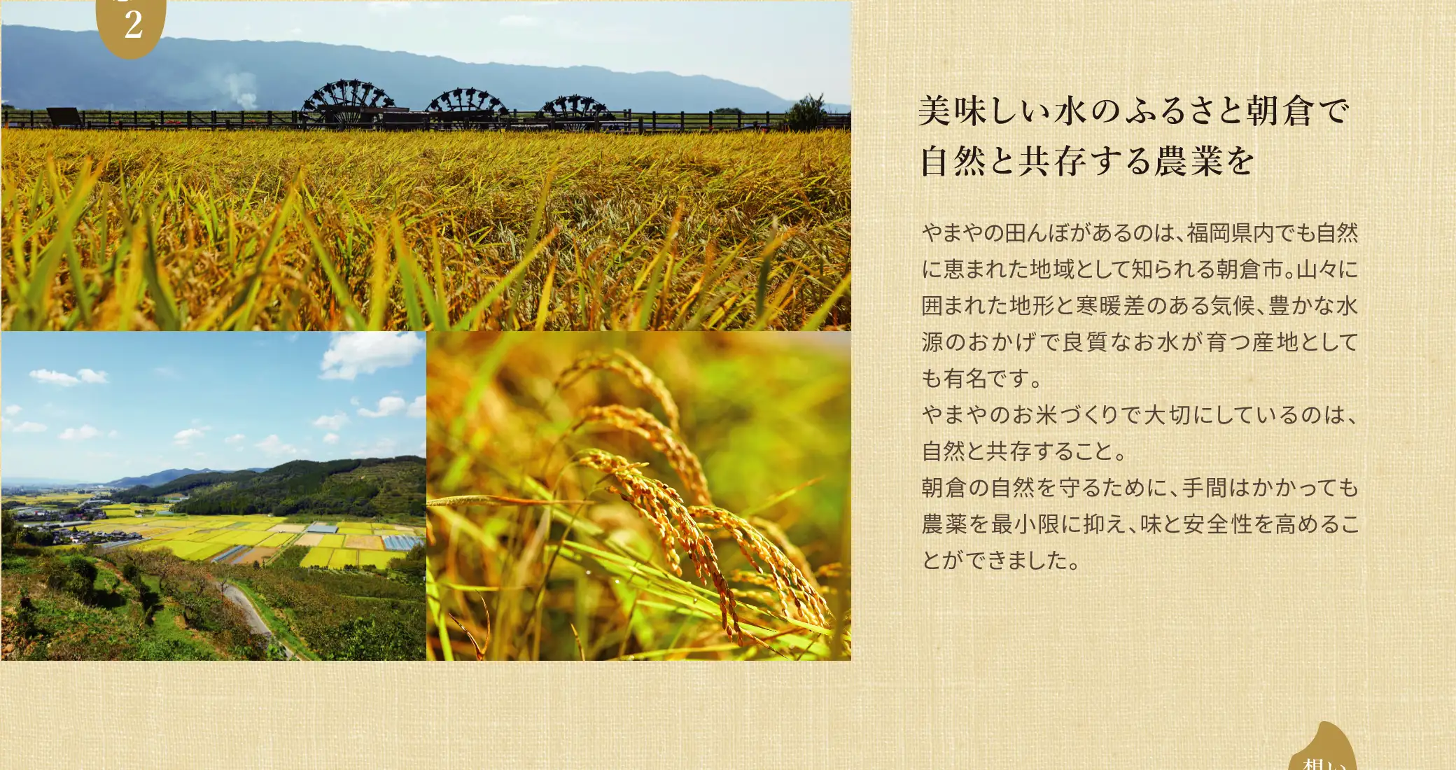 美味しい水のふるさと朝倉で自然と共存する農業を