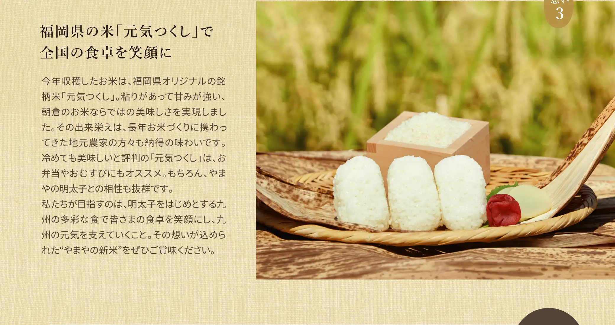福岡県の米「元気つくし」で全国の食卓を笑顔に