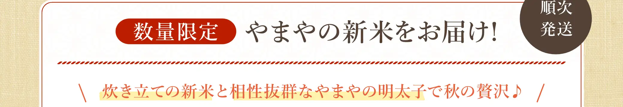 【数量限定】やまやの新米をお届け！炊き立ての新米と相性抜群なやまやの明太子で秋の贅沢！