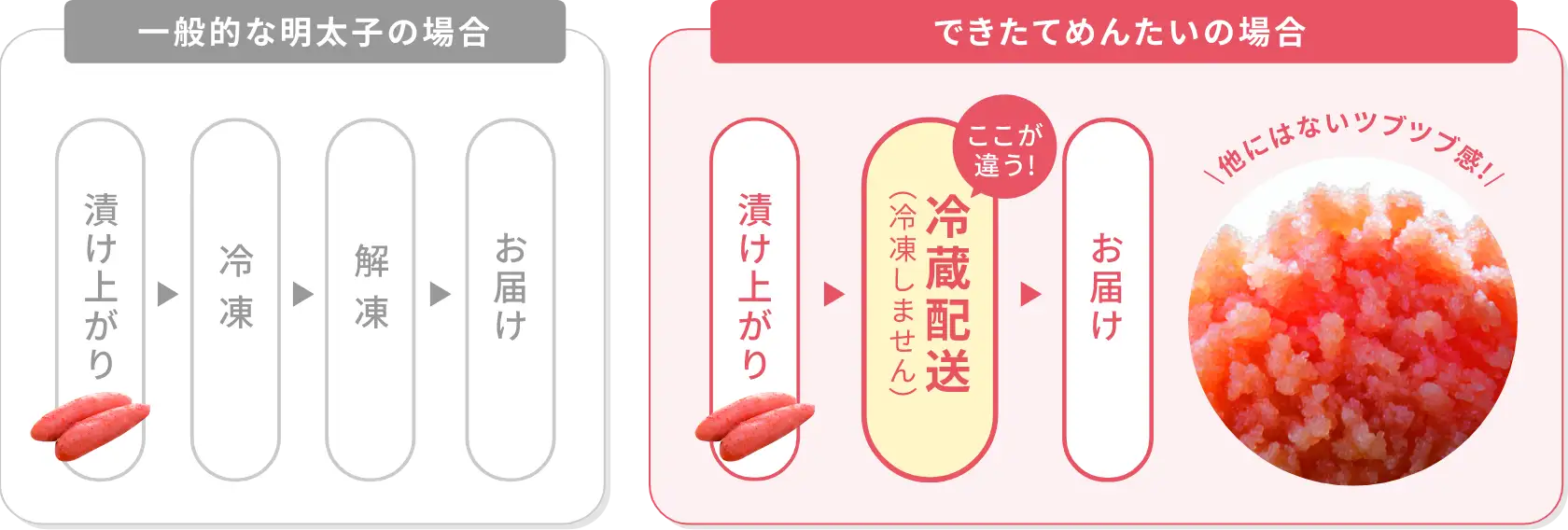 一般的な明太子と、できたてめんたいの製造工程の違い
