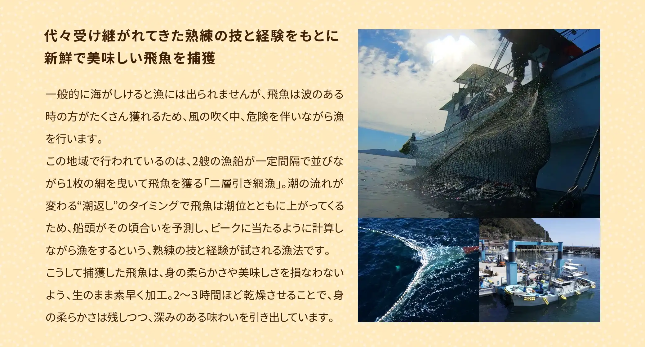 代々受け継がれてきた熟練のわざと経験をもとに新鮮で美味しい飛魚を捕獲