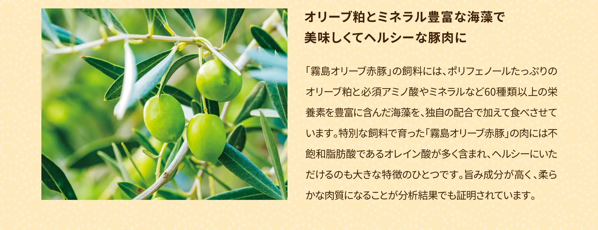 オリーブ粕とミネラル豊富な海藻で美味しくてヘルシーな豚肉に
