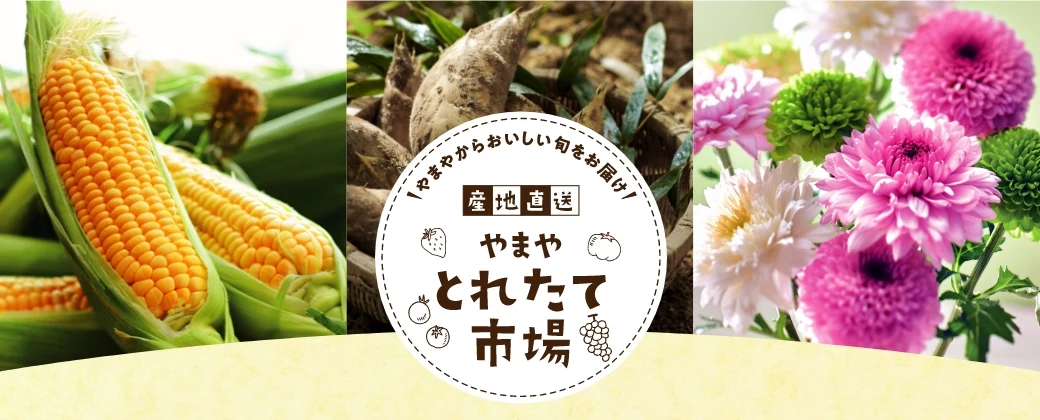 【産地直送】やまや とれたて市場【2023年4月】