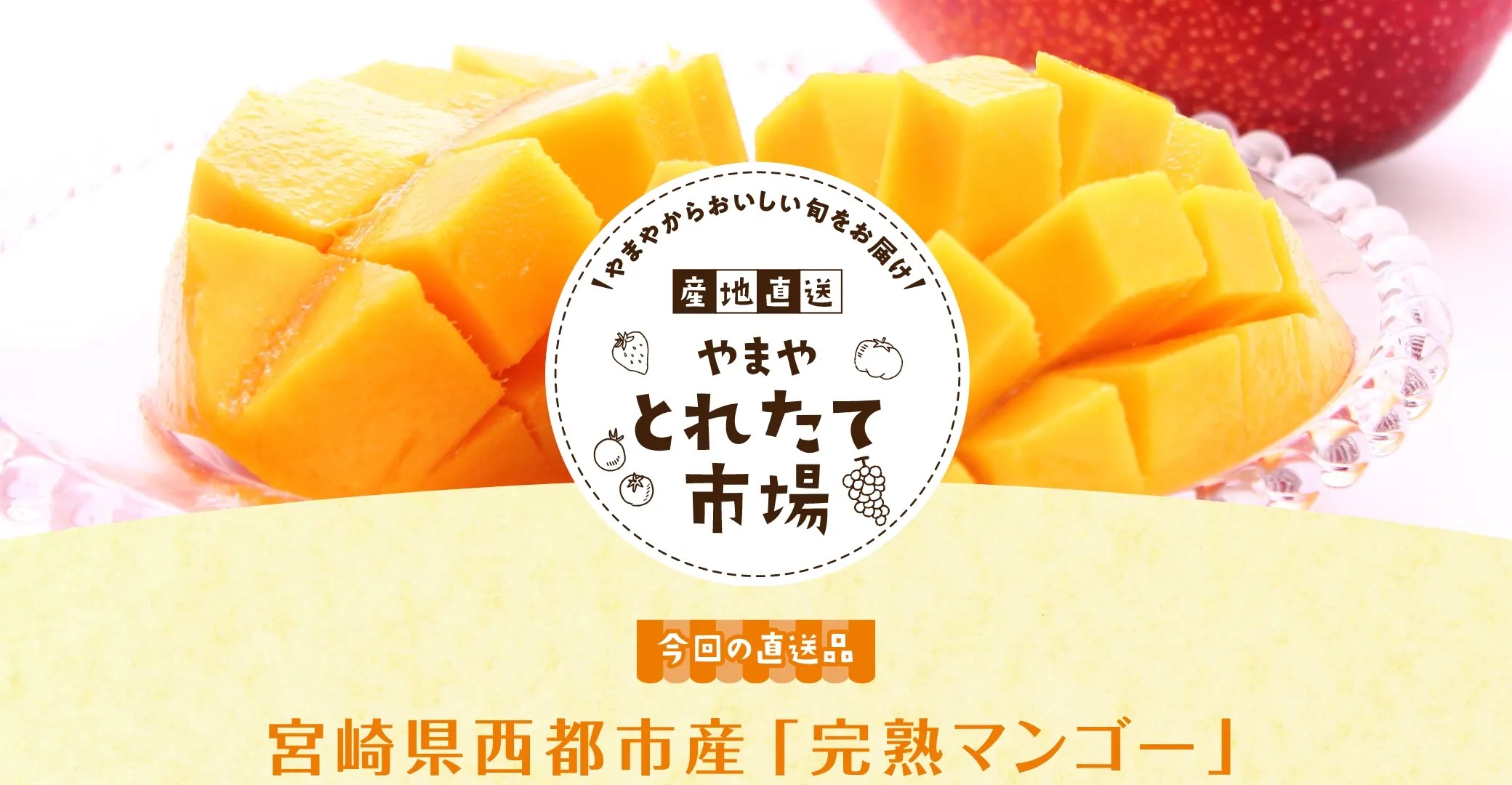 【産地直送】やまや とれたて市場【2023年6月】