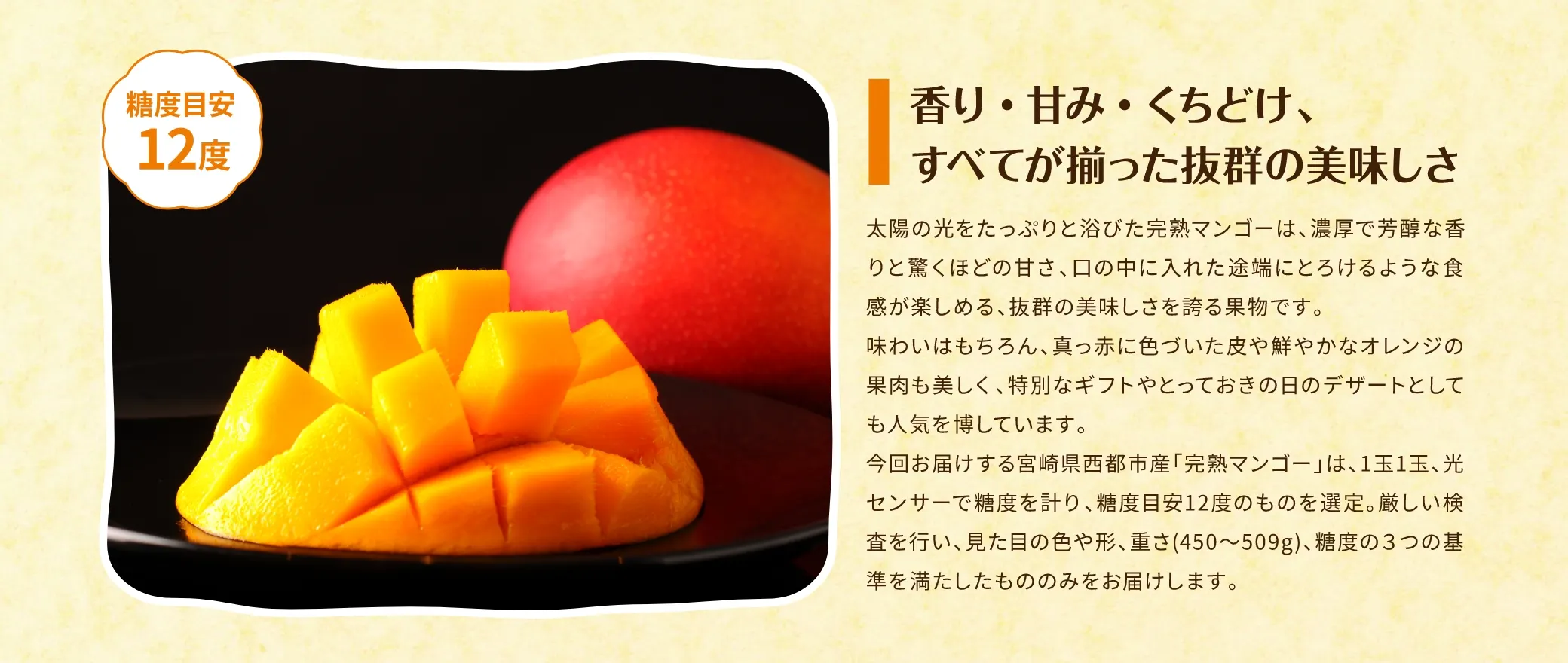 香り・甘み・くちどけ、すべてが揃った抜群の美味しさ／今回お届けする宮崎県西都市産「完熟マンゴー」は、1玉1玉、光センサーで糖度を計り、糖度目安12度のものを選定。厳しい検査を行い、見た目の色や形、重さ(450~509g)、糖度の3つの基準を満たしたもののみをお届けします。