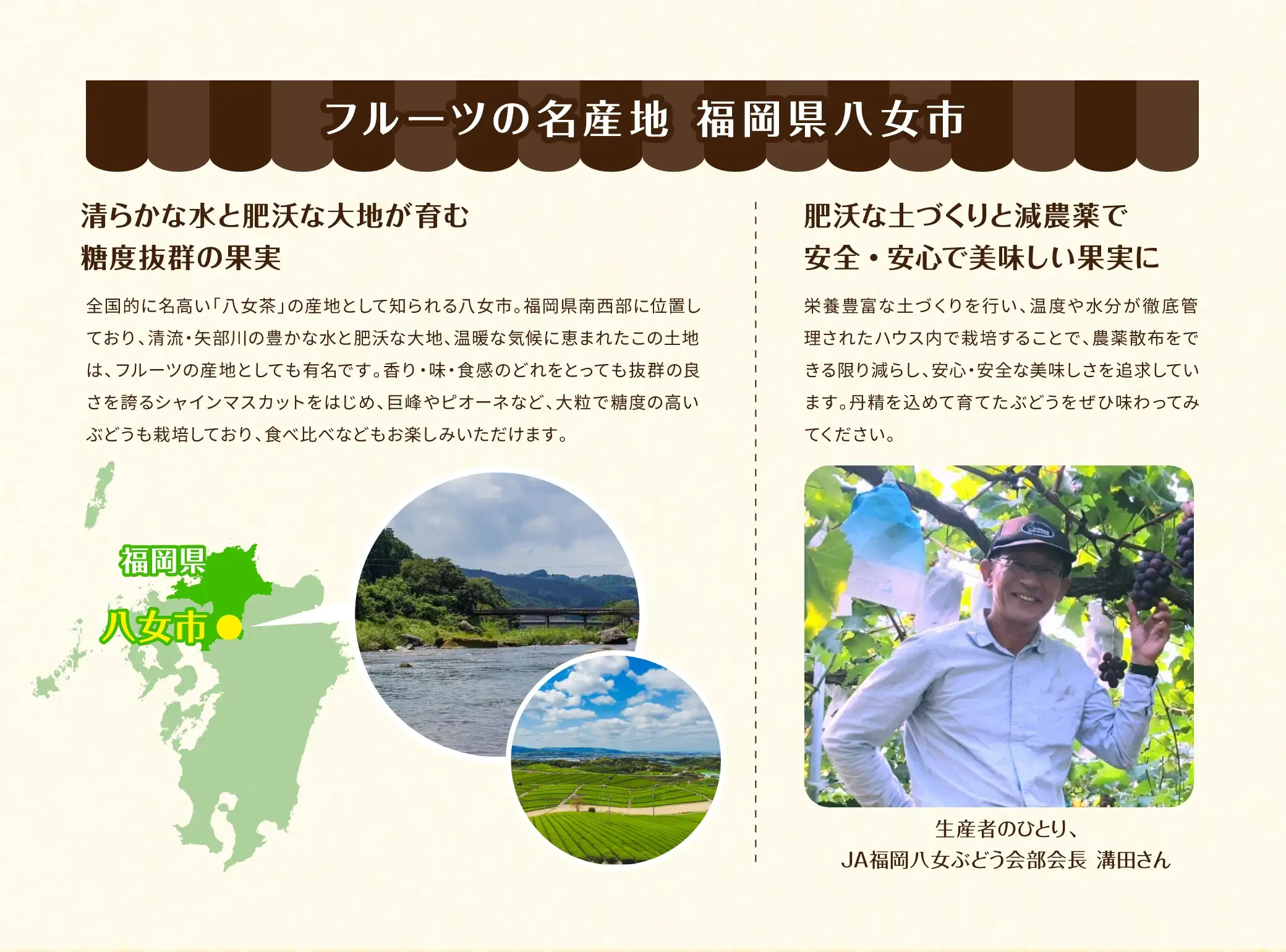 フルーツの名産地 福岡県八女市：福岡県南西部に位置しており、清流・矢部川の豊かな水と肥沃な大地、温暖な気候に恵まれたこの大地は、フルーツの産地としても有名です。