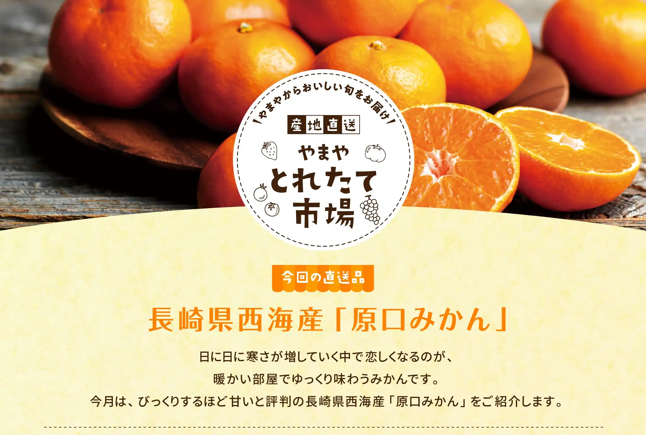 やまやからおいしい旬をお届け！【産地直送】やまやとれたて市場／【今回の直送品】長崎県西海産「原口みかん」