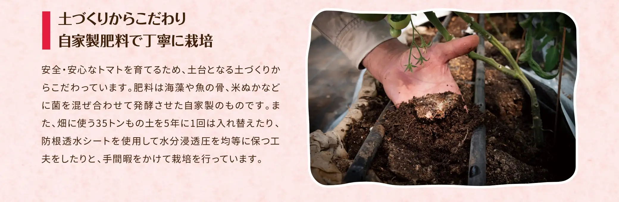 特徴１：土づくりからこだわり自家製肥料で丁寧に栽培