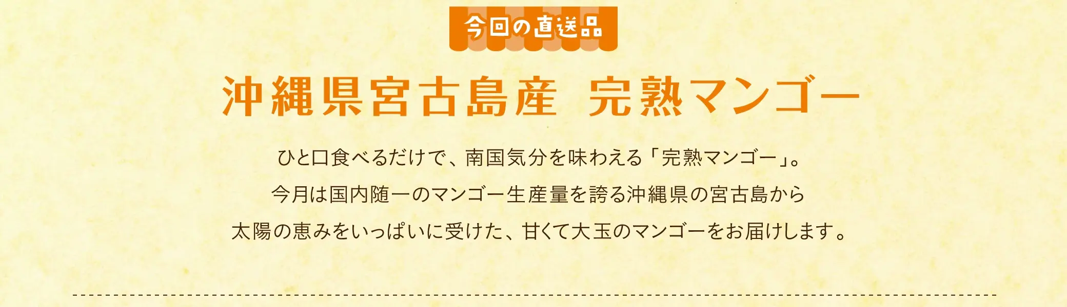 今回の直送品
