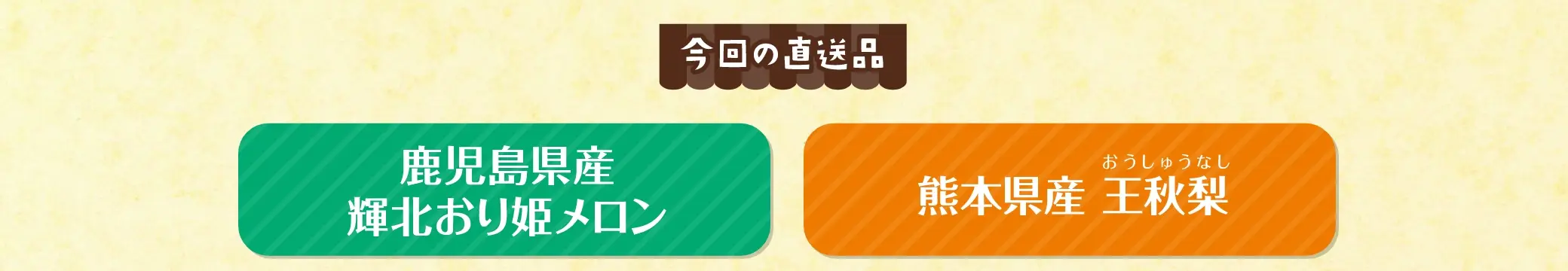 【今回の直送品】鹿児島県産 輝北おり姫メロン(きほく おりひめメロン)、熊本県産 王秋梨(おうしゅうなし)