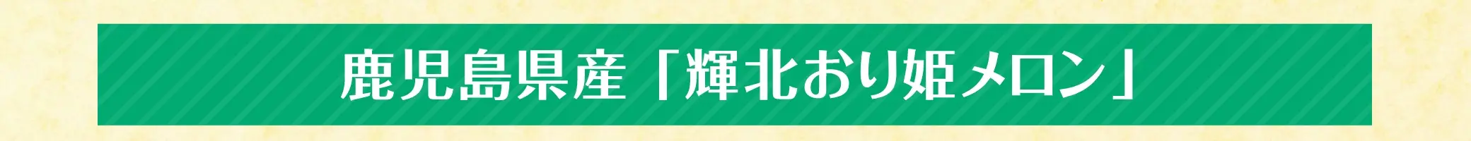 鹿児島県産「輝北おり姫メロン」