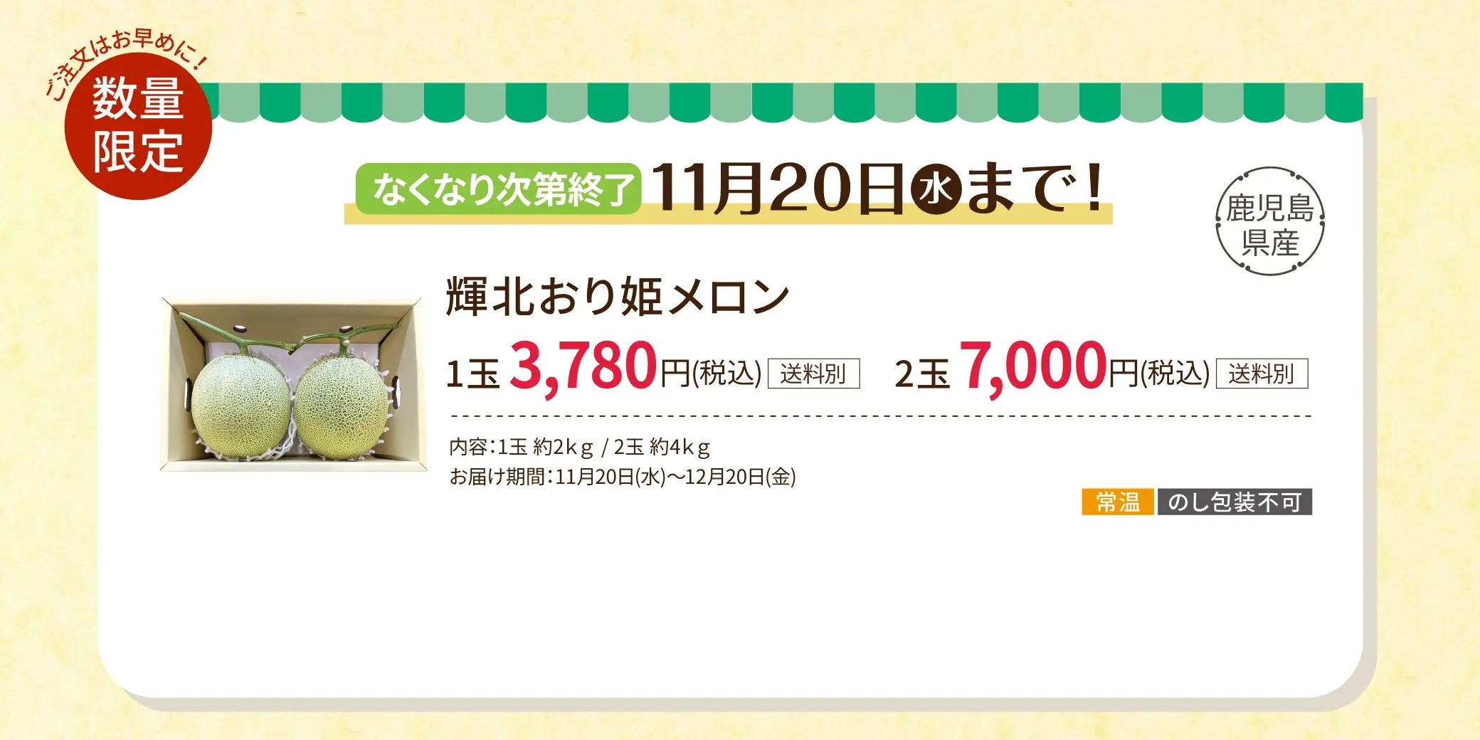 数量限定！なくなり次第終了！11/20(水)まで！鹿児島県 輝北おり姫メロン 1玉 3,780円(税込/送料別)、2玉 7,000円(税込/送料別)