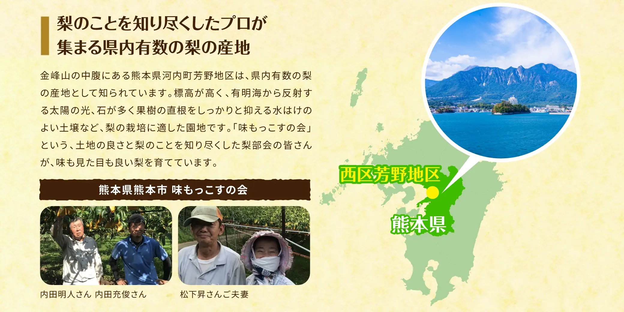 梨のことを知り尽くしたプロが集まる県内有数の梨の産地／金峰山の中腹にある熊本県河内町芳野地区は、県内有数の梨の産地として知られています。標高が高く、有明海から反射する太陽の光、石が多く果樹の直根をしっかりと抑える水はけのよい土壌など、梨の栽培に適した園地です。「味もっこすの会」という、土地の良さと梨のことを知り尽くした梨部会の皆さんが、味も見た目も良い梨を育てています。