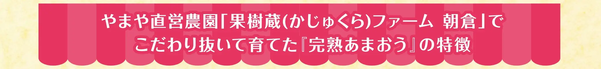 やまや直営農園「果樹蔵(かじゅくら)ファーム 朝倉」でこだわり抜いて育てた「完熟あまおう」の特徴