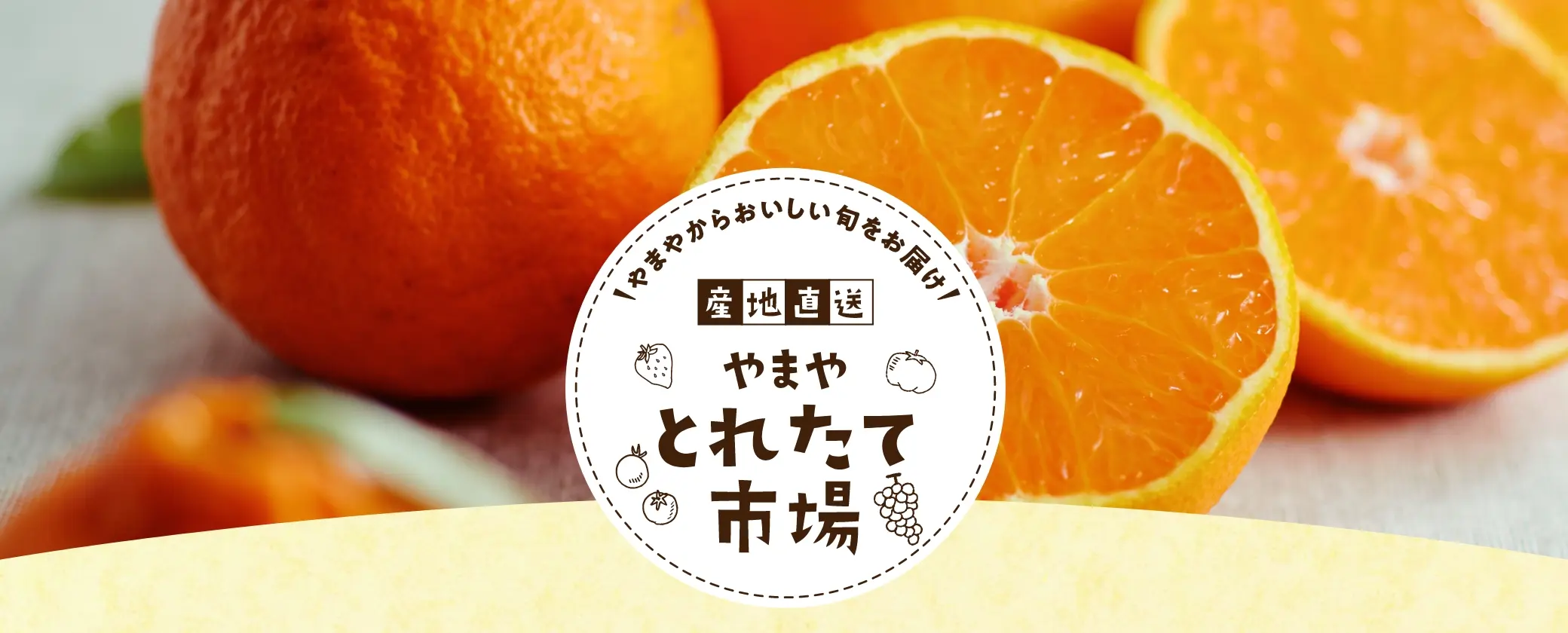 やまやからおいしい旬をお届け！産地直送やまやとれたて市場【今回の直送品】熊本県産 プレミアム不知火(しらぬい)