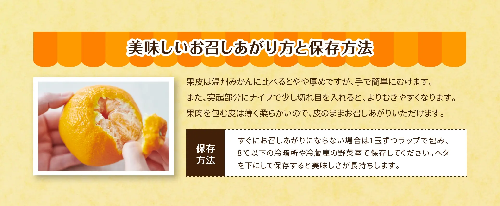 ＜美味しいお召しあがり方と保存方法＞果皮は温州みかんに比べるとやや厚めですが、手で簡単にむけます。また、突起部分にナイフで少し切れ目を入れると、よりむきやすくなります。果肉を包む皮は薄く柔らかいので、皮のままお召しあがりいただけます。