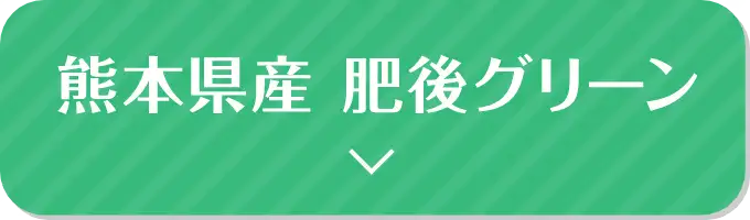 熊本県産 肥後グリーン はこちら