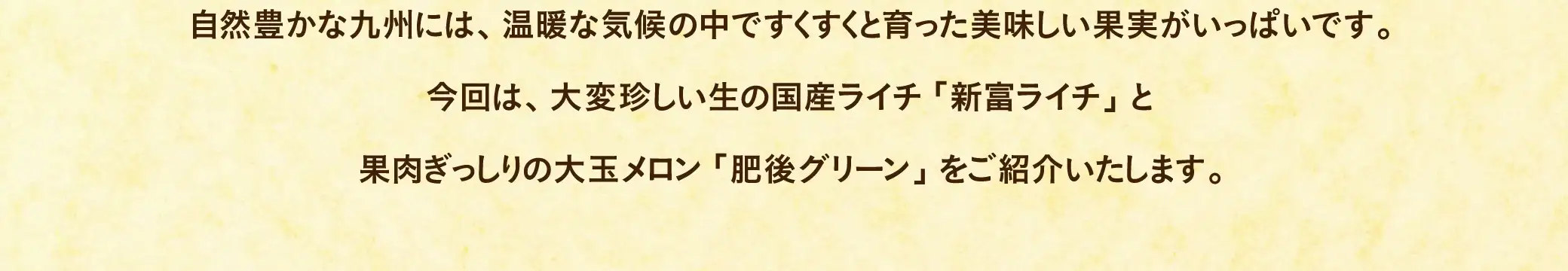 自然豊かな九州には、温暖な気候の中ですくすくと育った美味しい果実がいっぱいです。今回は、大変珍しい生の国産ライチ「新富ライチ」と果肉ぎっしりの大玉メロン「肥後グリーン」をご紹介いたします。