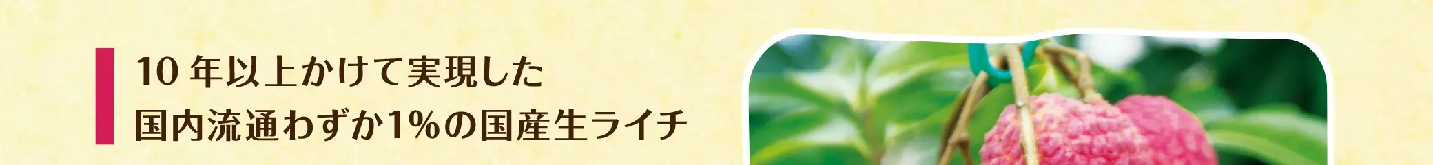 10年以上かけて実現した国内流通わずか1％の国産生ライチ